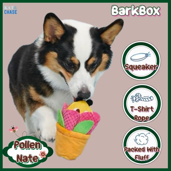 Bark Box Pollen Nate Dog Toy Xs S Bumble Bee Flying Flower Tug Squeaky Garden - Picture 3 of 9